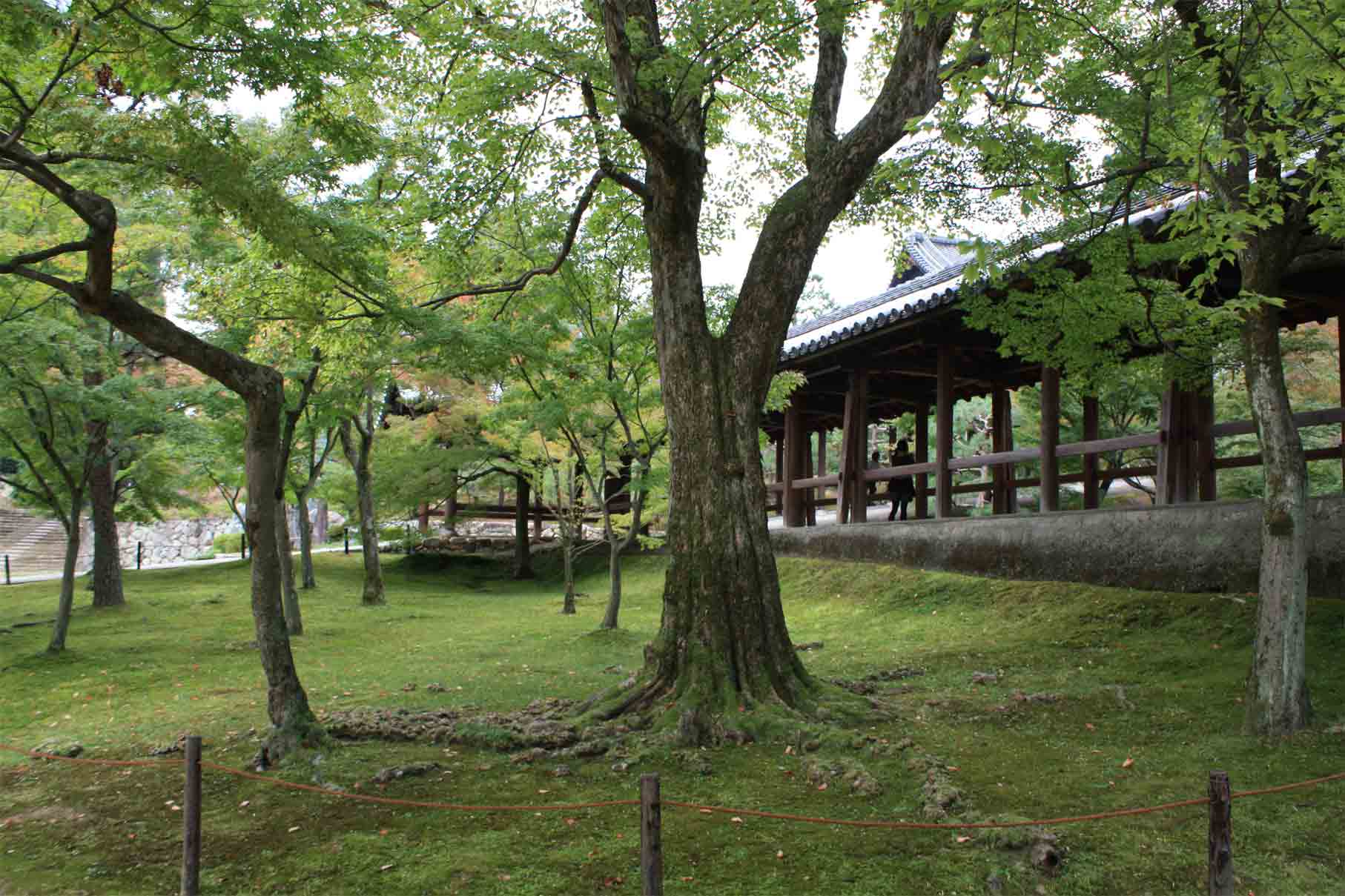 京の秋　東福寺